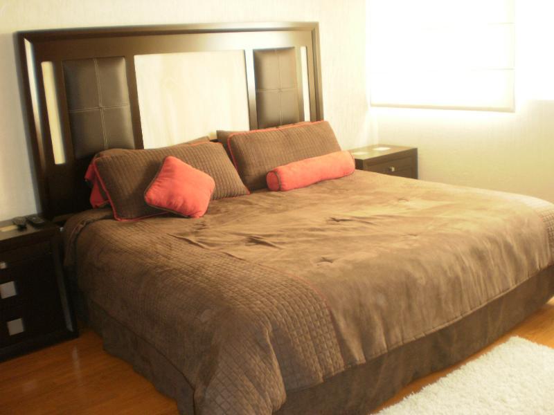 Steinhaus Suites Hamburgo Città del Messico Esterno foto